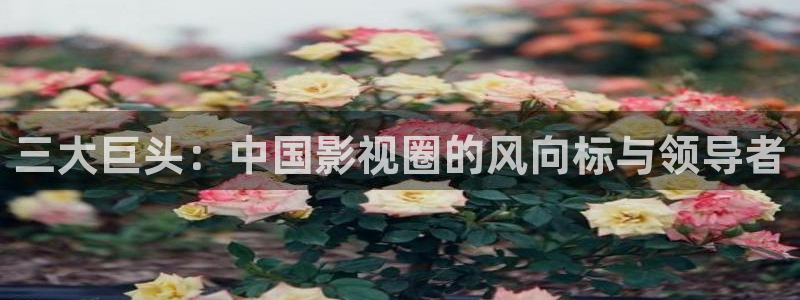 天辰娱乐登录